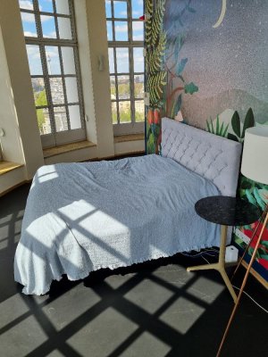 Foto zum Angebot #242