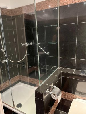 Foto zum Angebot Messel-182-4-Neu