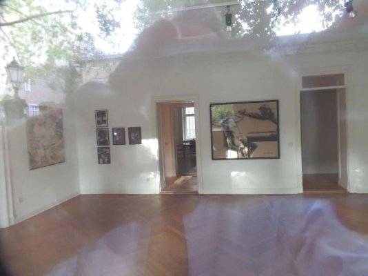 Foto zum Angebot GE-220-Fasan